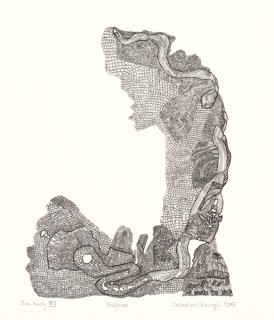 Sebastian Skowroński, Dwa światy XXV, 2015, rysunek, tusz, piórko, 34x29cm, papier Hahnemuhle 300g