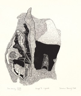 Sebastian Skowroński, Dwa światy XXXIII, 2015, linoryt 1/1, rysunek, tusz, piórko, 33x28cm, papier Hahnemuhle 300g