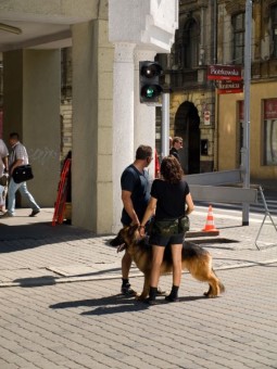 Zdjęcie z planu filmowego Komisarz Alex 2, tot. Sebastian Skowroński