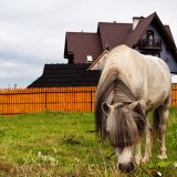 Tatry, zdjęcie cyfrowe