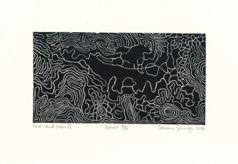 Sebastian Skowroński, Inner and Outer 12, 2016, linoryt, odbitka 1/6, 10x20cm, papier Hahnemuhle 230g (19,5x28cm)